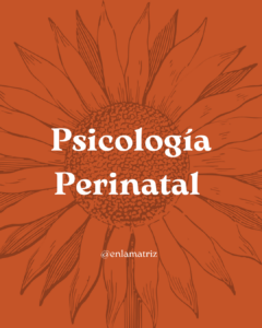 Rosa Otero Mateo En la Matriz Psicologia Honesta Psicologia Perinatal Migraciones Trauma Asturias