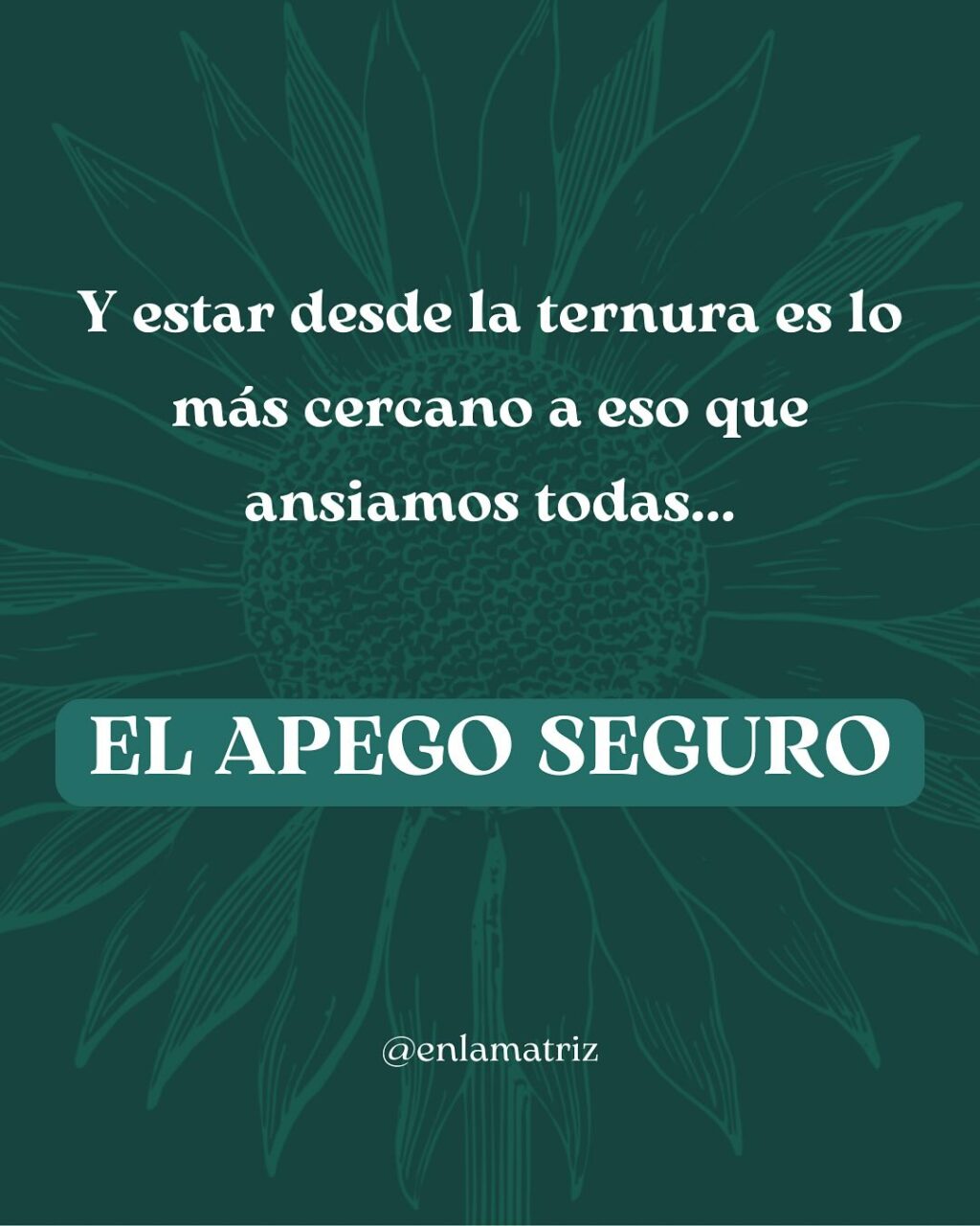 Instagram post from enlamatriz. This post is in position 8.