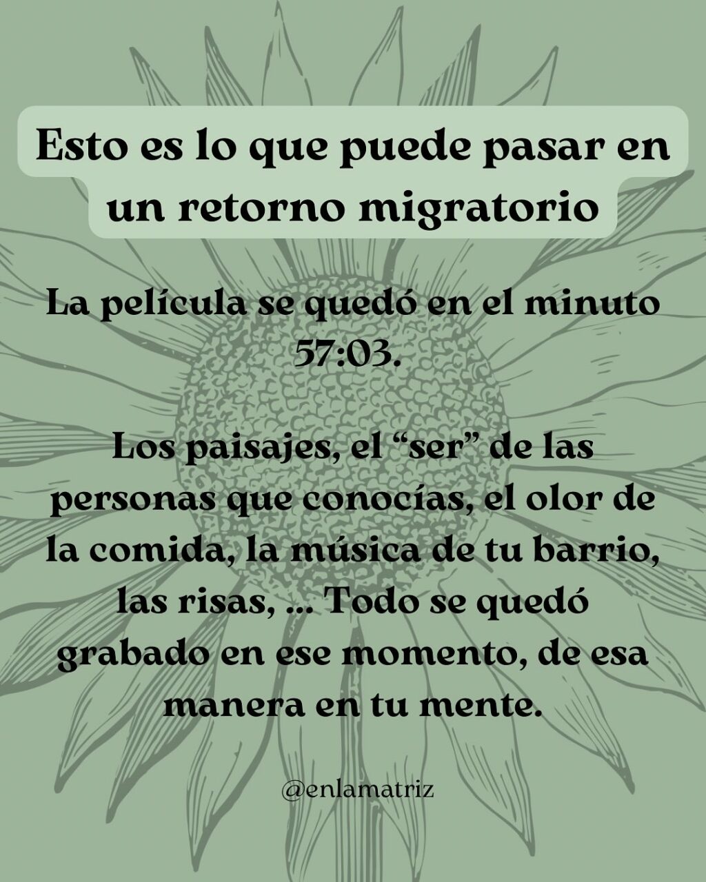 Instagram post from enlamatriz. This post is in position 4.