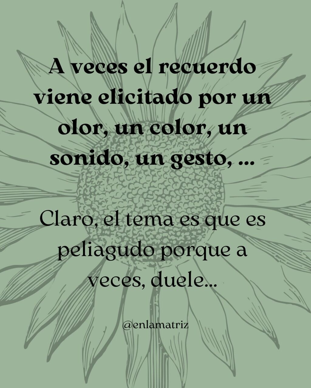 Instagram post from enlamatriz. This post is in position 3.