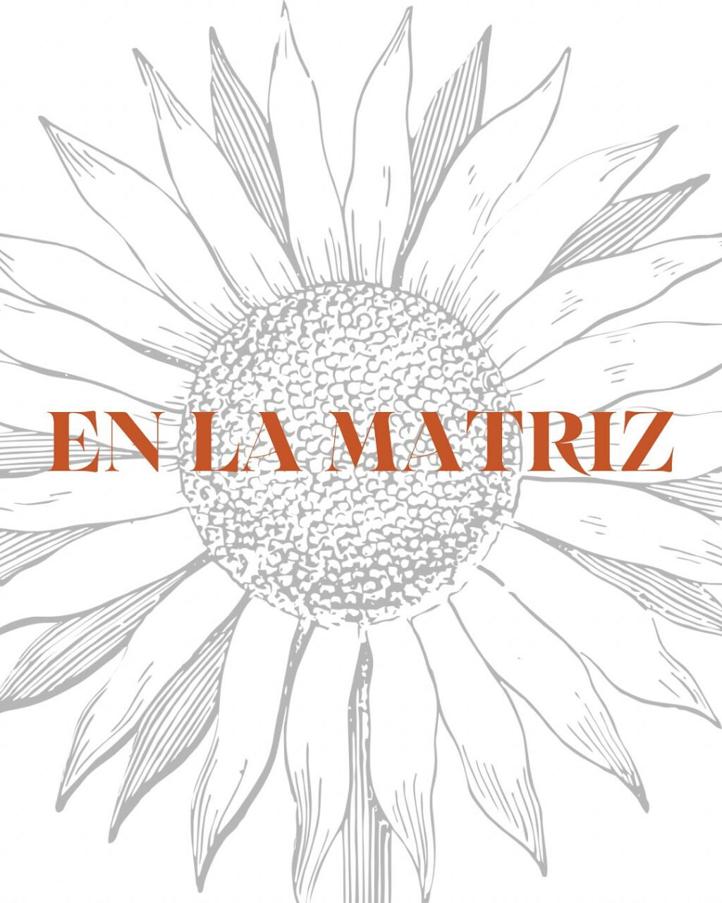 Instagram post from enlamatriz. This post is in position 11.