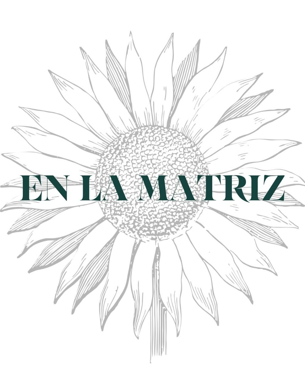 Instagram post from enlamatriz. This post is in position 9.