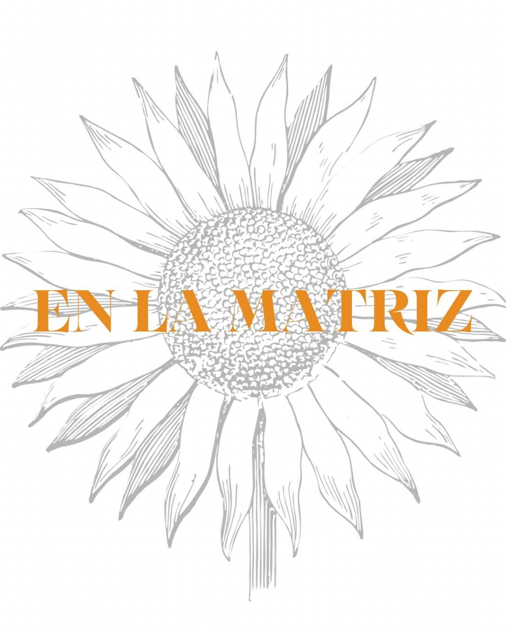 Instagram post from enlamatriz. This post is in position 8.