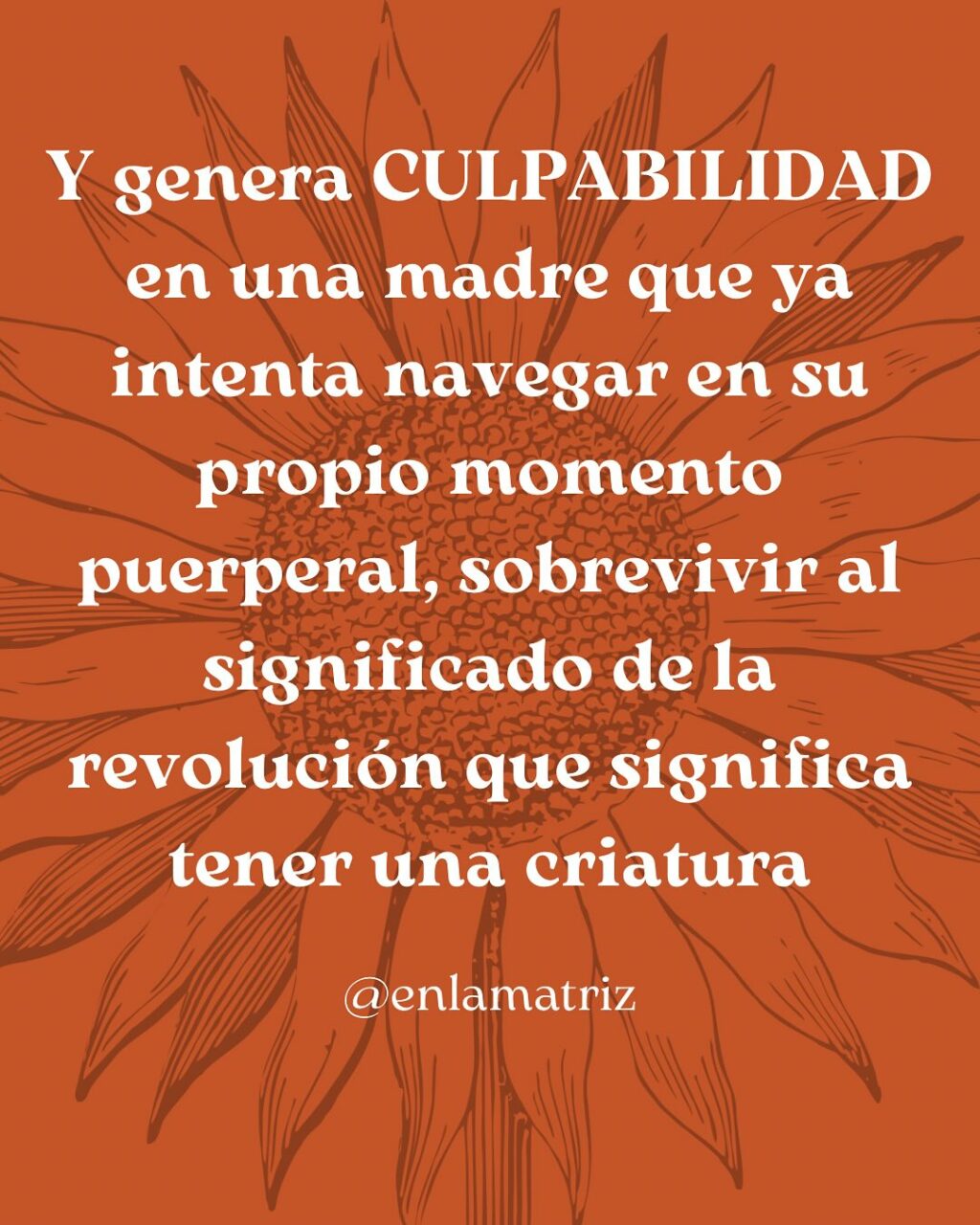 Instagram post from enlamatriz. This post is in position 5.