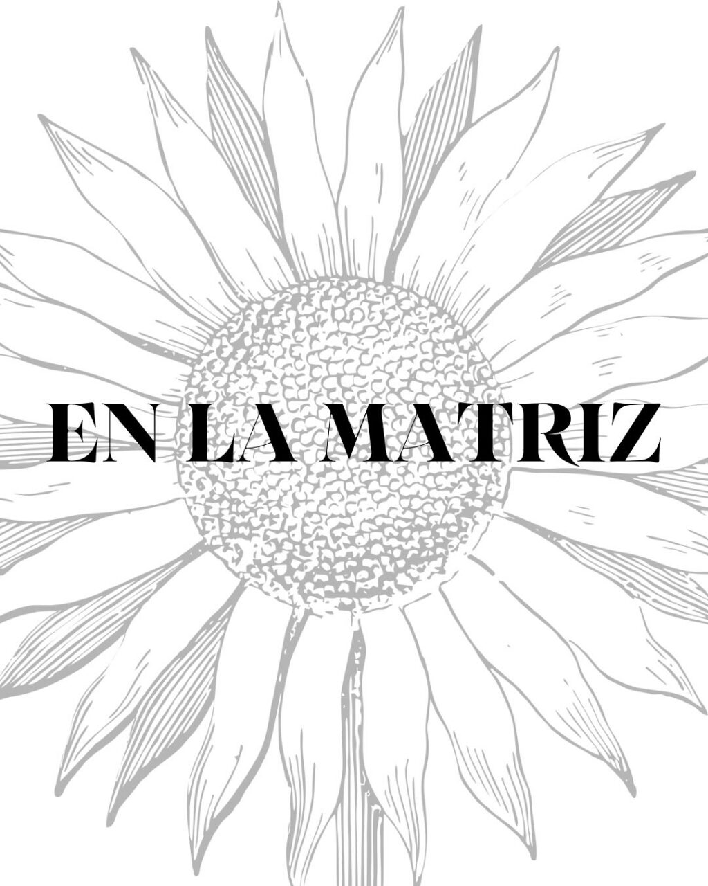 Instagram post from enlamatriz. This post is in position 6.