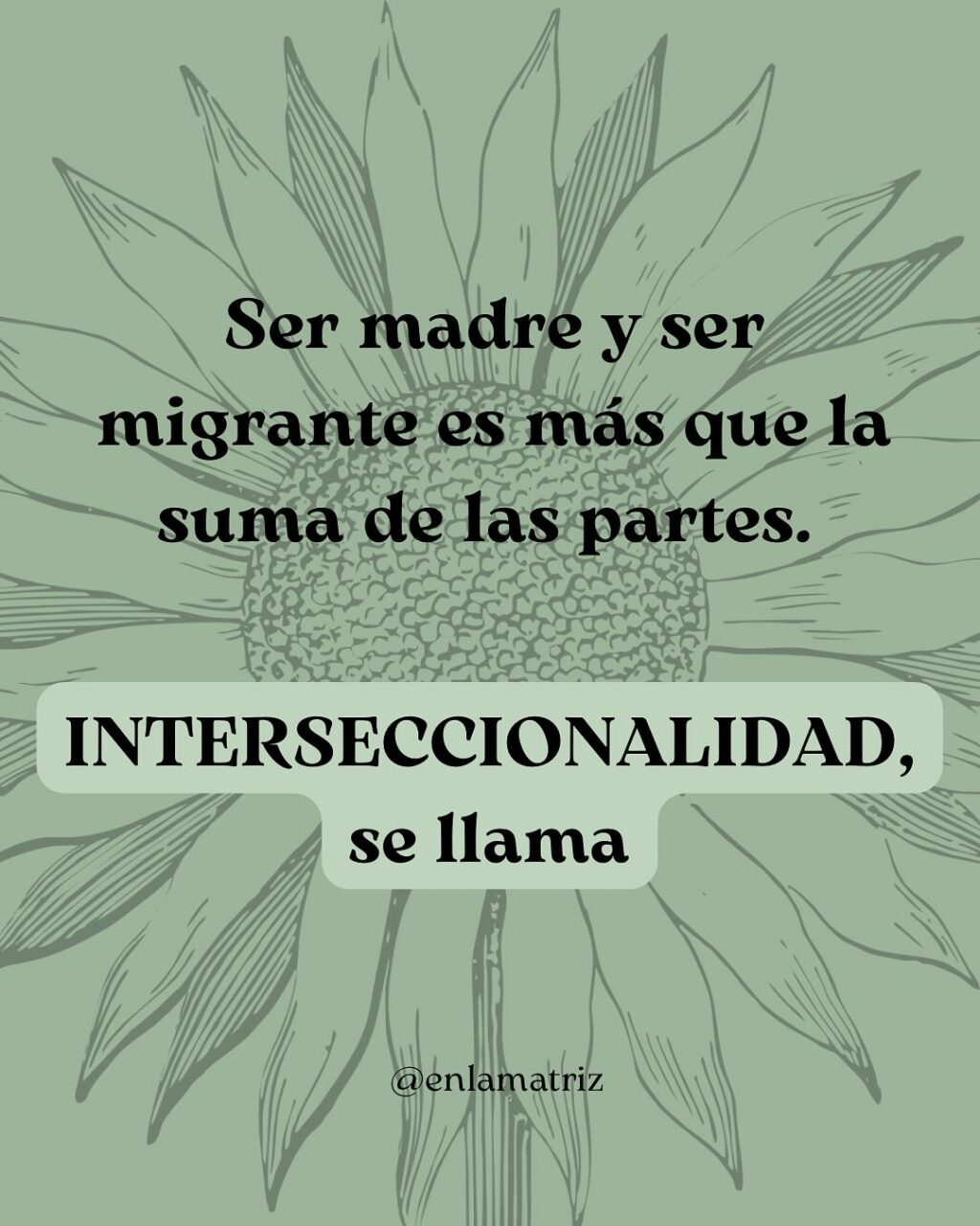 Instagram post from enlamatriz. This post is in position 1.