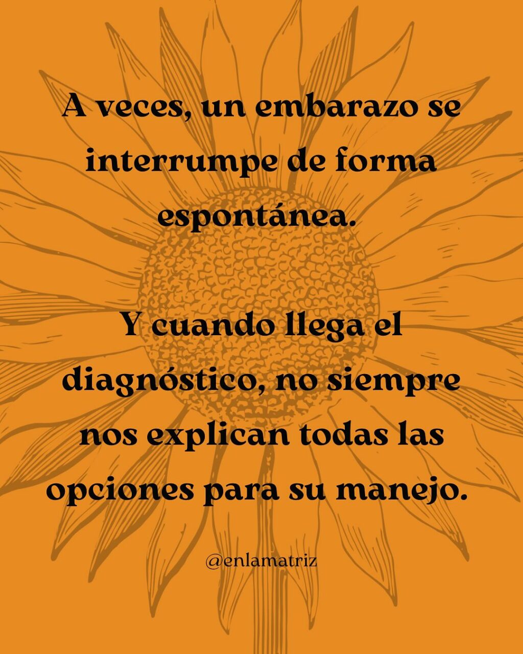 Instagram post from enlamatriz. This post is in position 1.