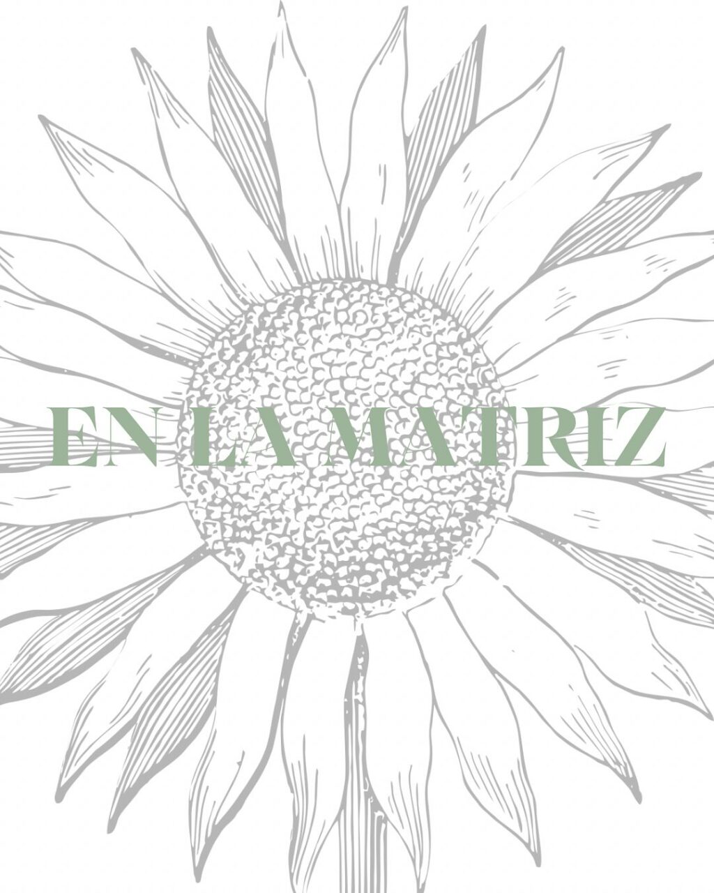 Instagram post from enlamatriz. This post is in position 7.