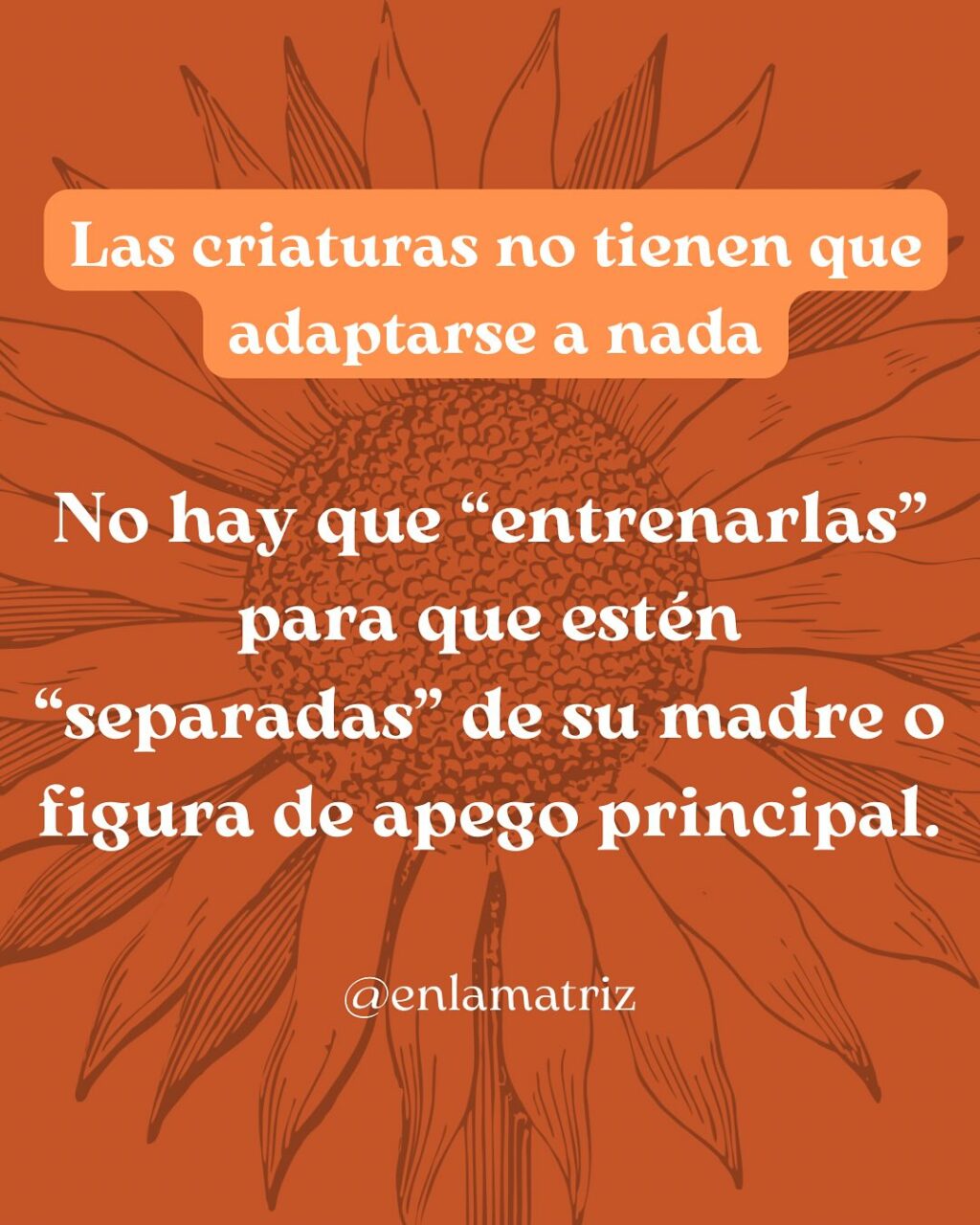 Instagram post from enlamatriz. This post is in position 6.