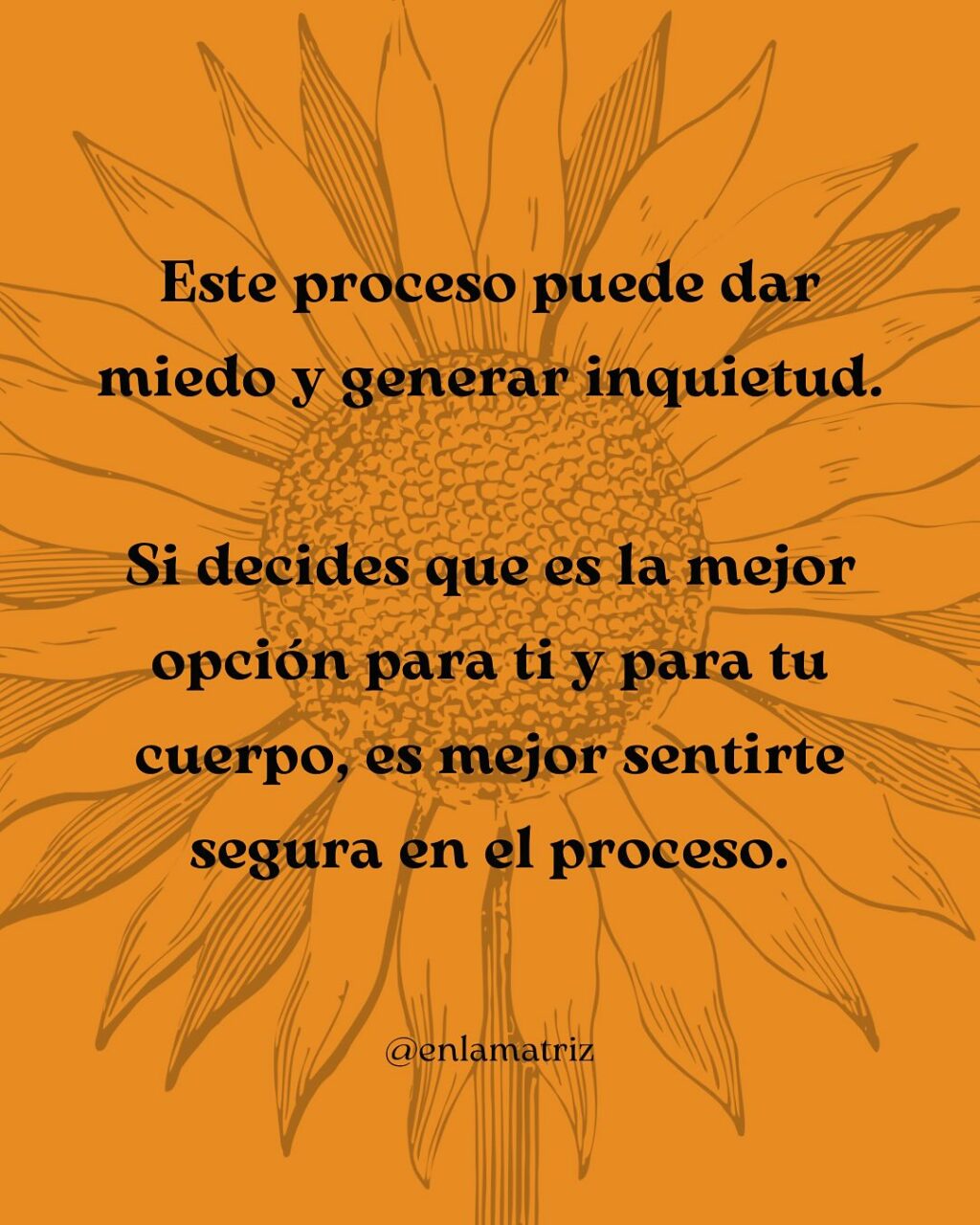 Instagram post from enlamatriz. This post is in position 3.