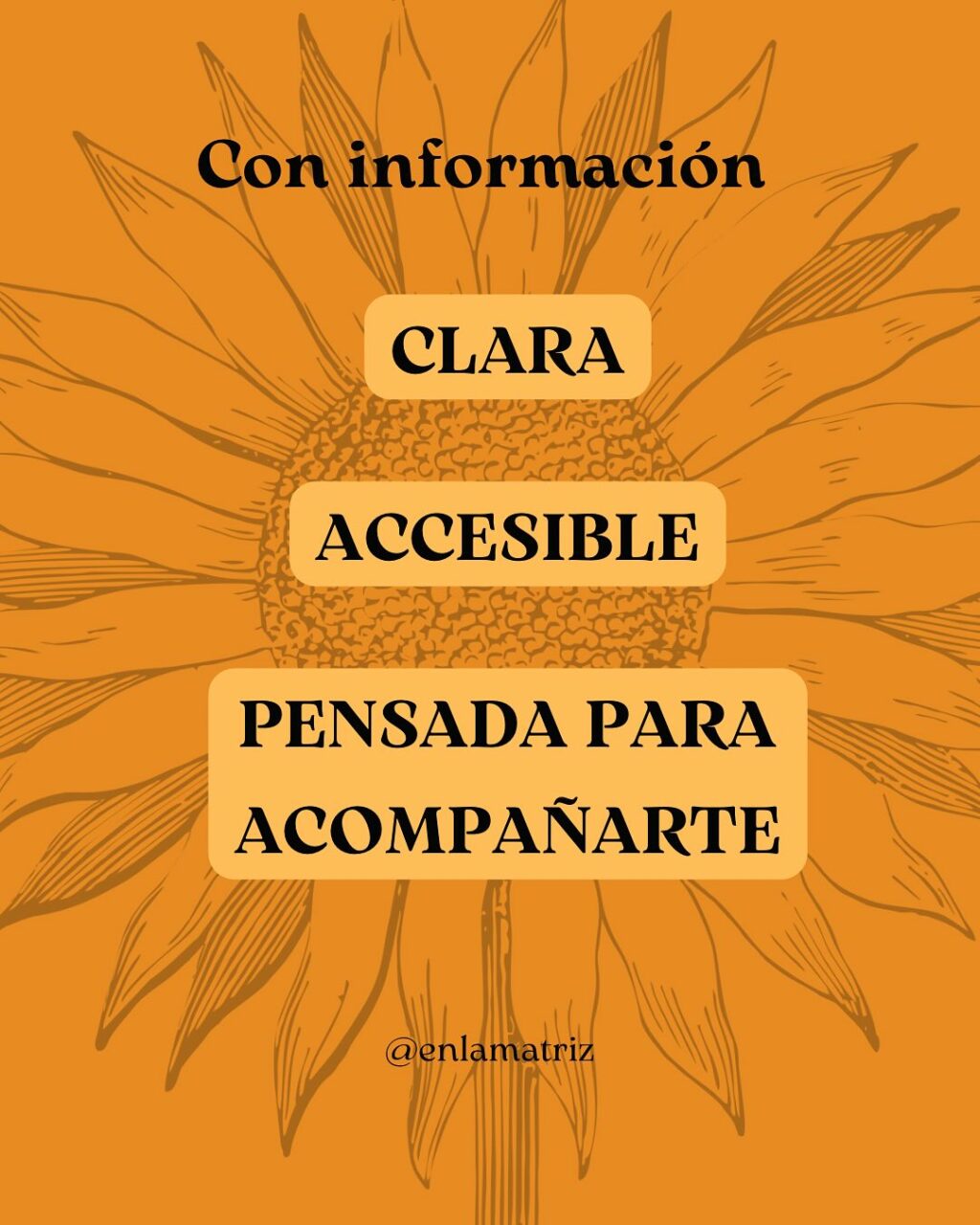 Instagram post from enlamatriz. This post is in position 5.