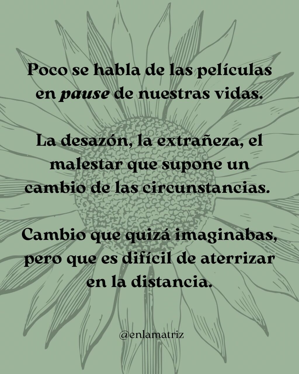 Instagram post from enlamatriz. This post is in position 6.