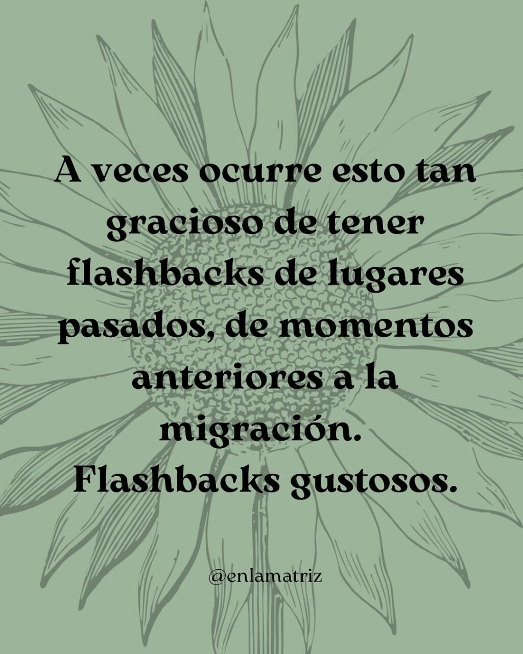 Instagram post from enlamatriz. This post is in position 1.