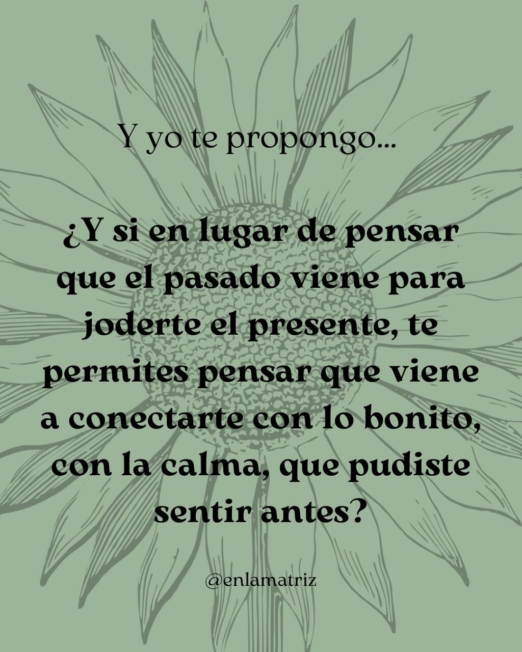 Instagram post from enlamatriz. This post is in position 4.