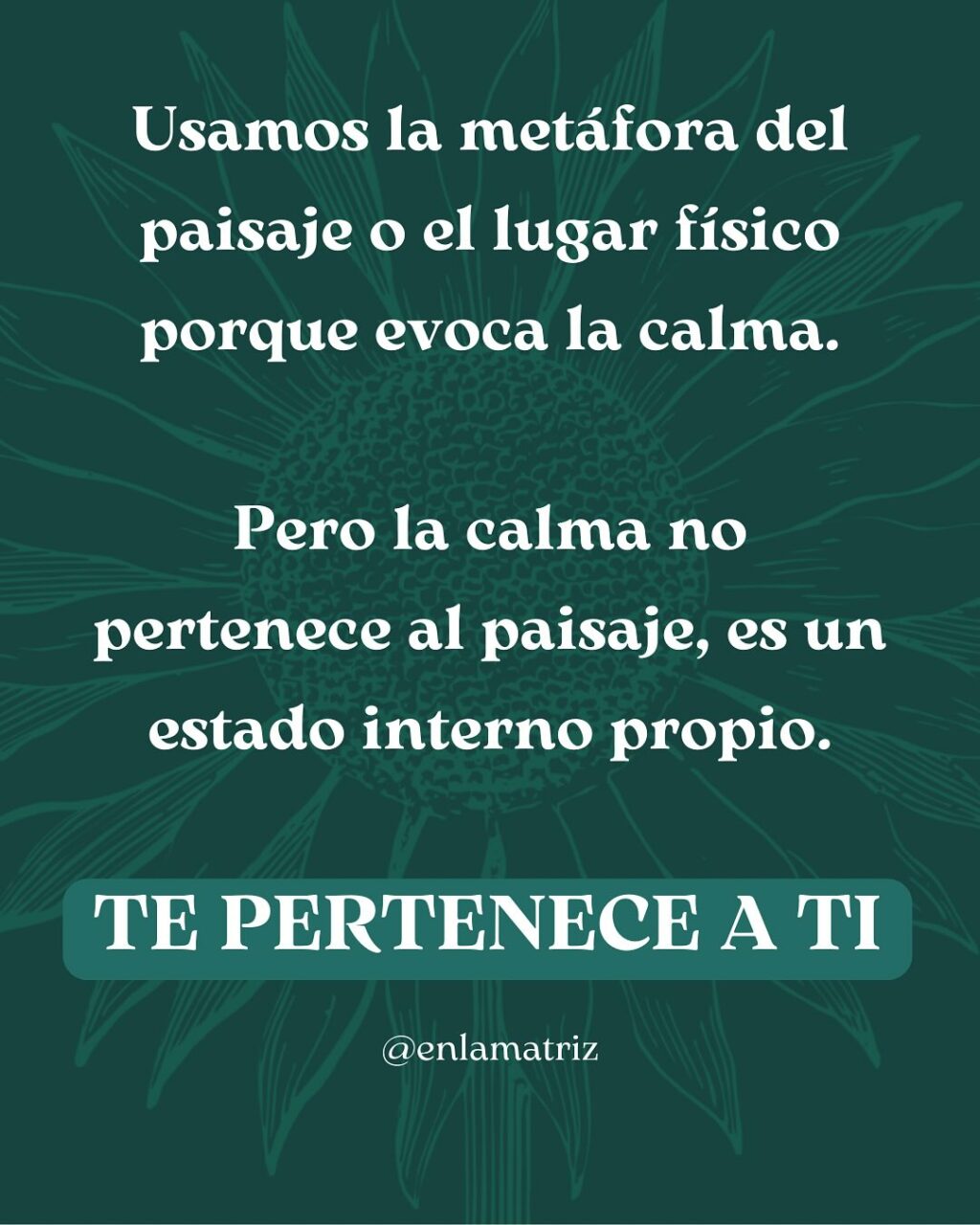 Instagram post from enlamatriz. This post is in position 6.