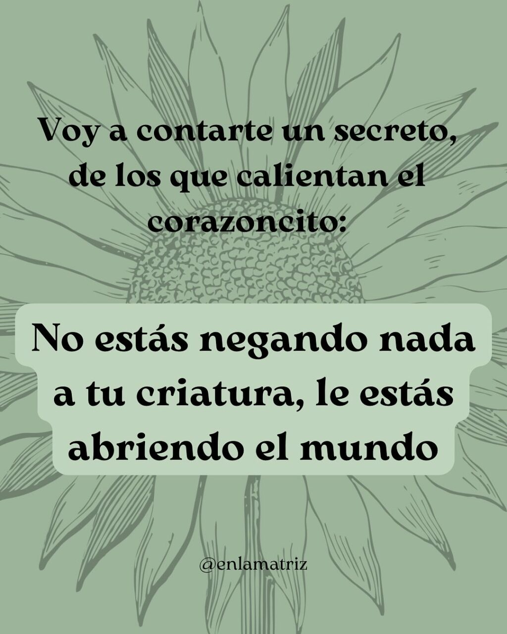 Instagram post from enlamatriz. This post is in position 4.