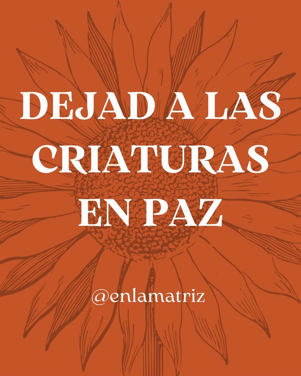 Instagram post from enlamatriz. This post is in position 0.