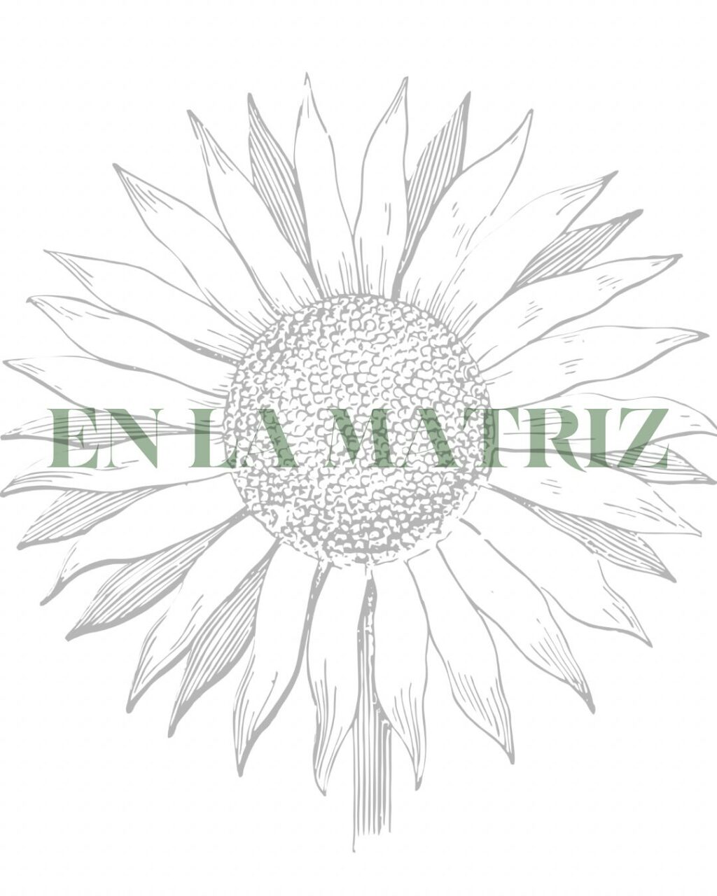 Instagram post from enlamatriz. This post is in position 7.