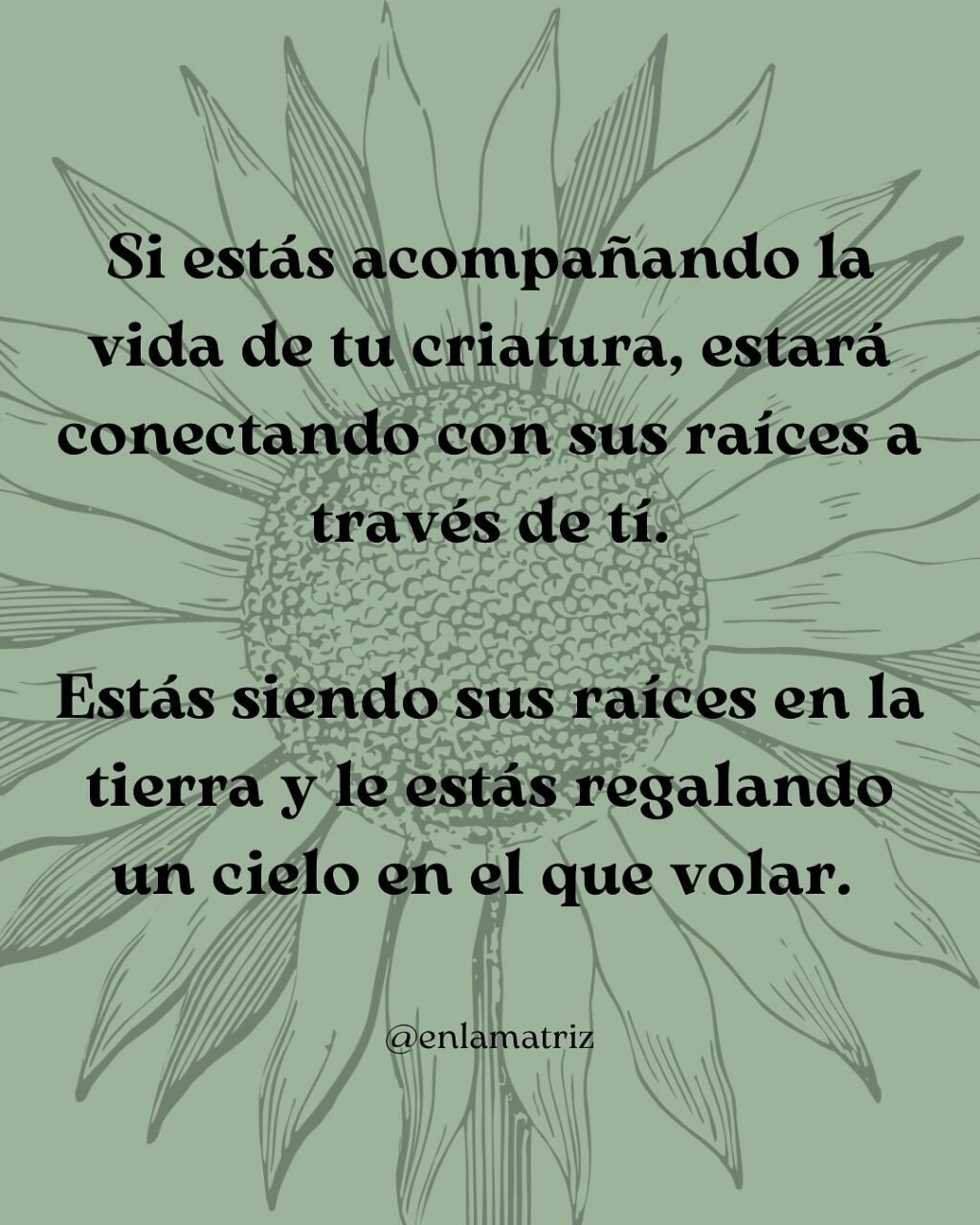 Instagram post from enlamatriz. This post is in position 6.