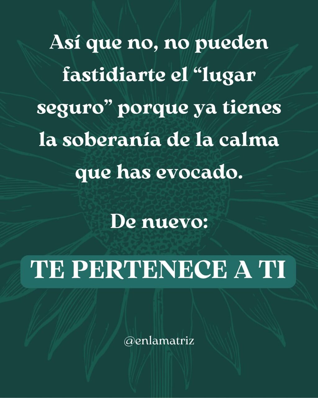 Instagram post from enlamatriz. This post is in position 7.