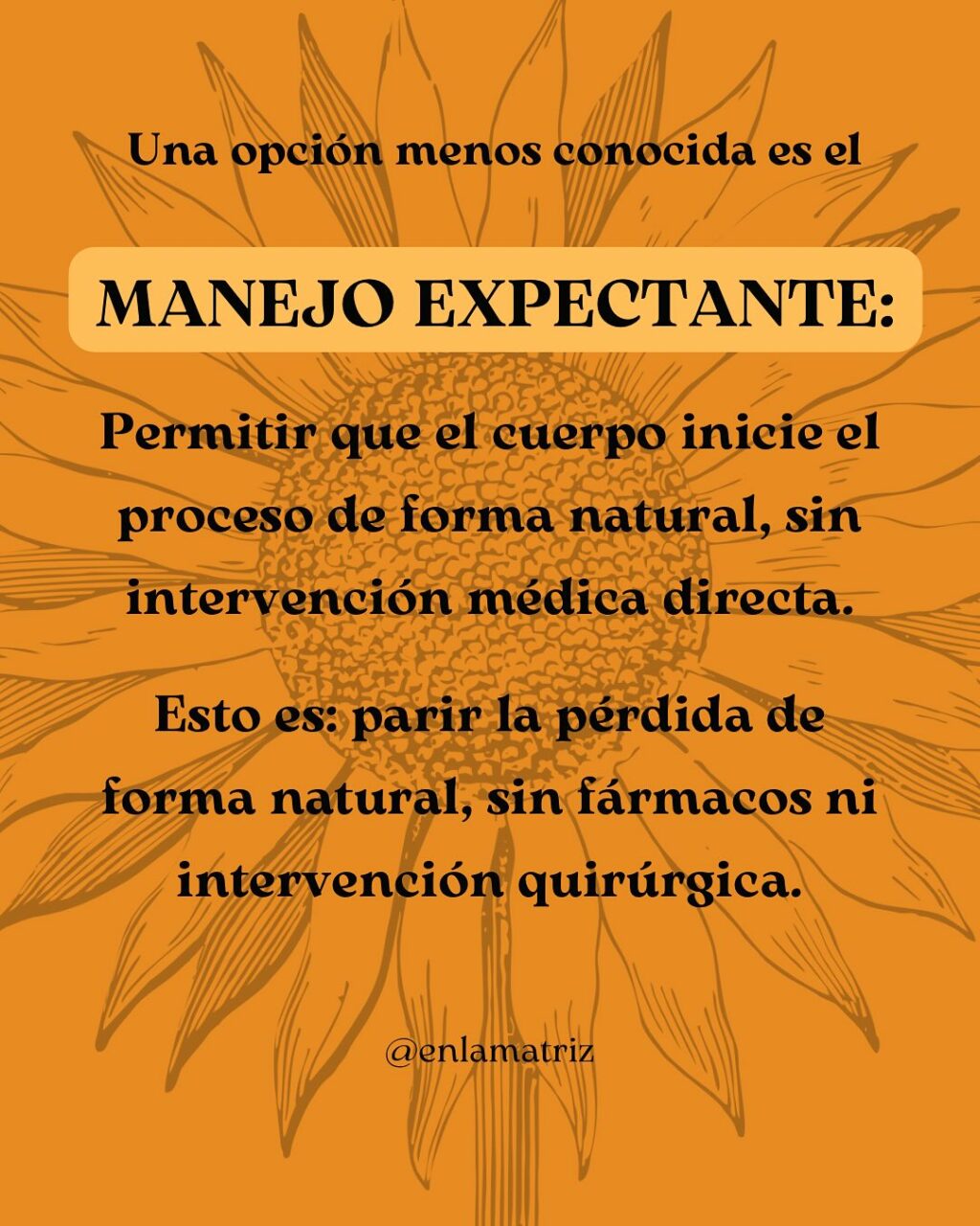 Instagram post from enlamatriz. This post is in position 2.